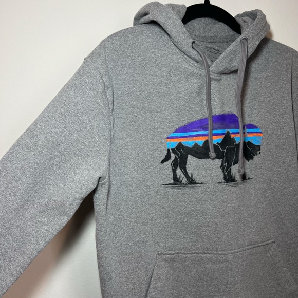 Patagonia Mens Fitz Roy Bison Uprisal Hoodie Sweatshirt Gray Graphic 39582 Small - Picture 5 of 11